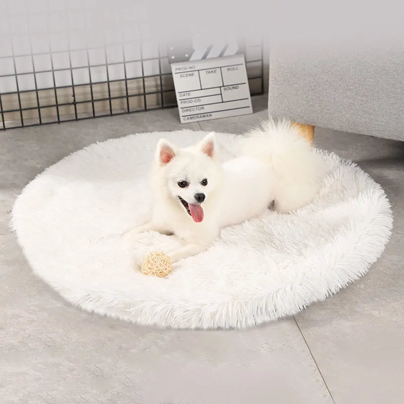 Round Dog Bed