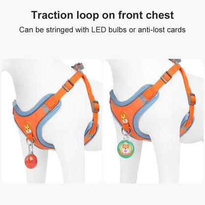 Reflective Pet Harness And Leash Set