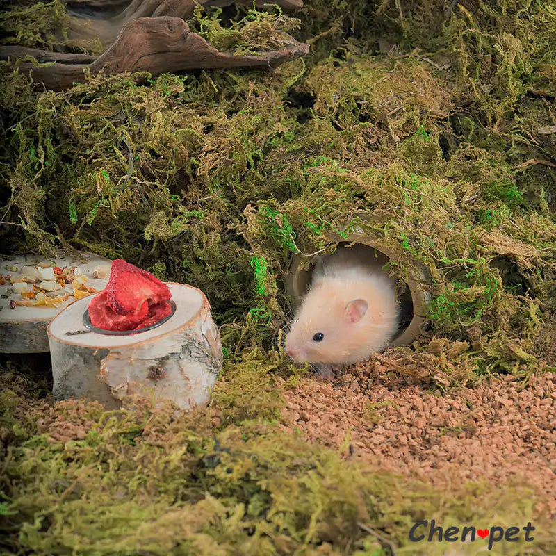 Decoratie voor huisdierenkooien