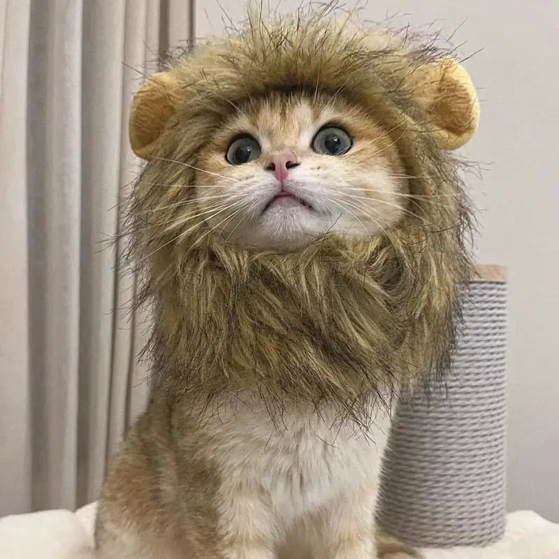 Lion Mane kat kostuum